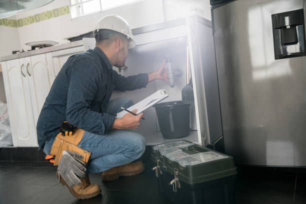 Best Plumbing Inspection Services  in Lyons, NJ